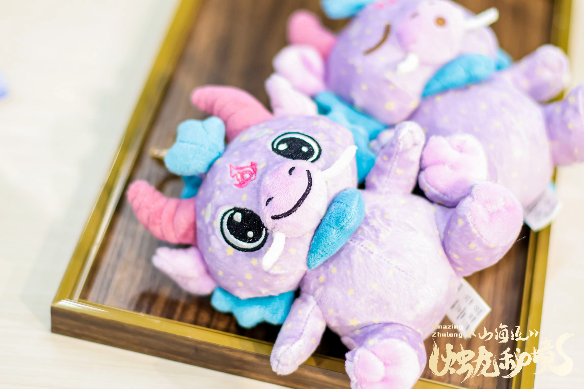 ZuZu exhibition