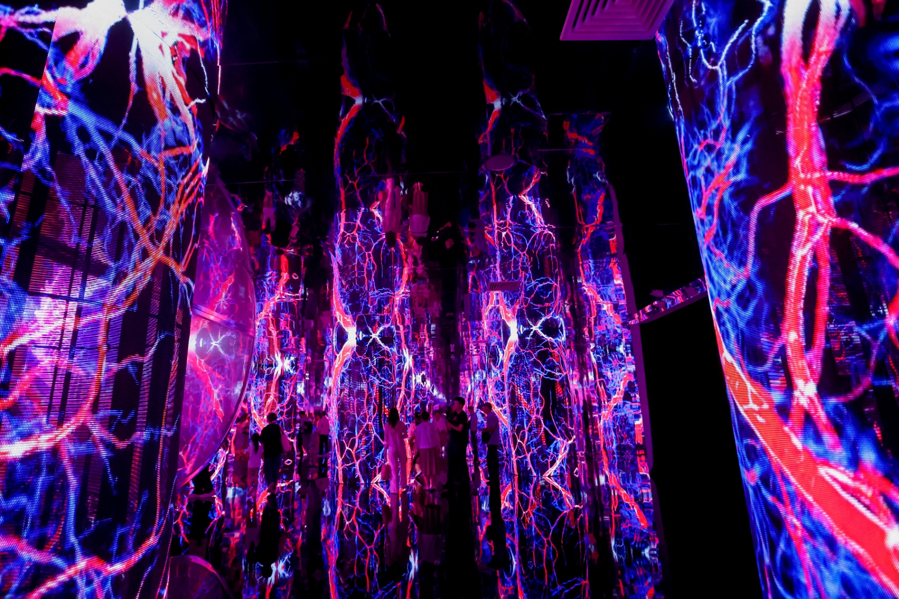 Amazing Zulong neon chamber with visitors